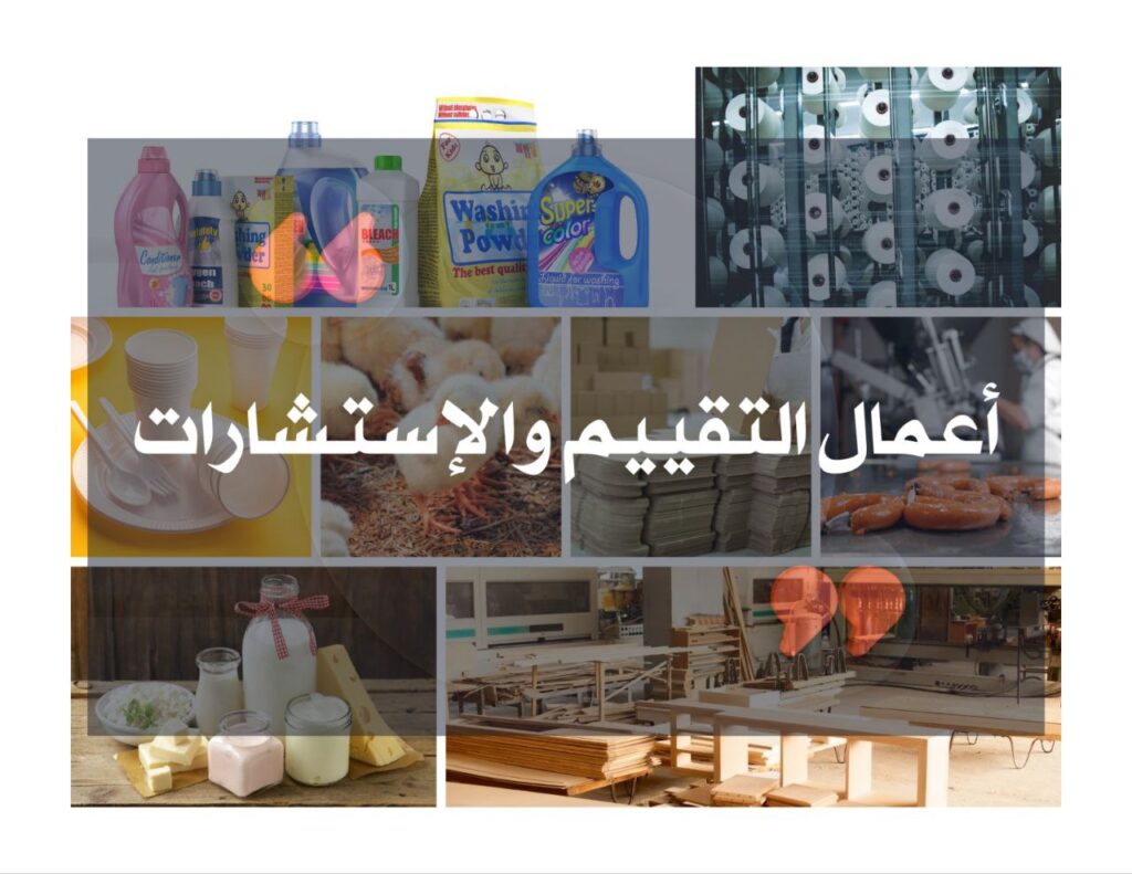 Assessment & Consulting Sessions