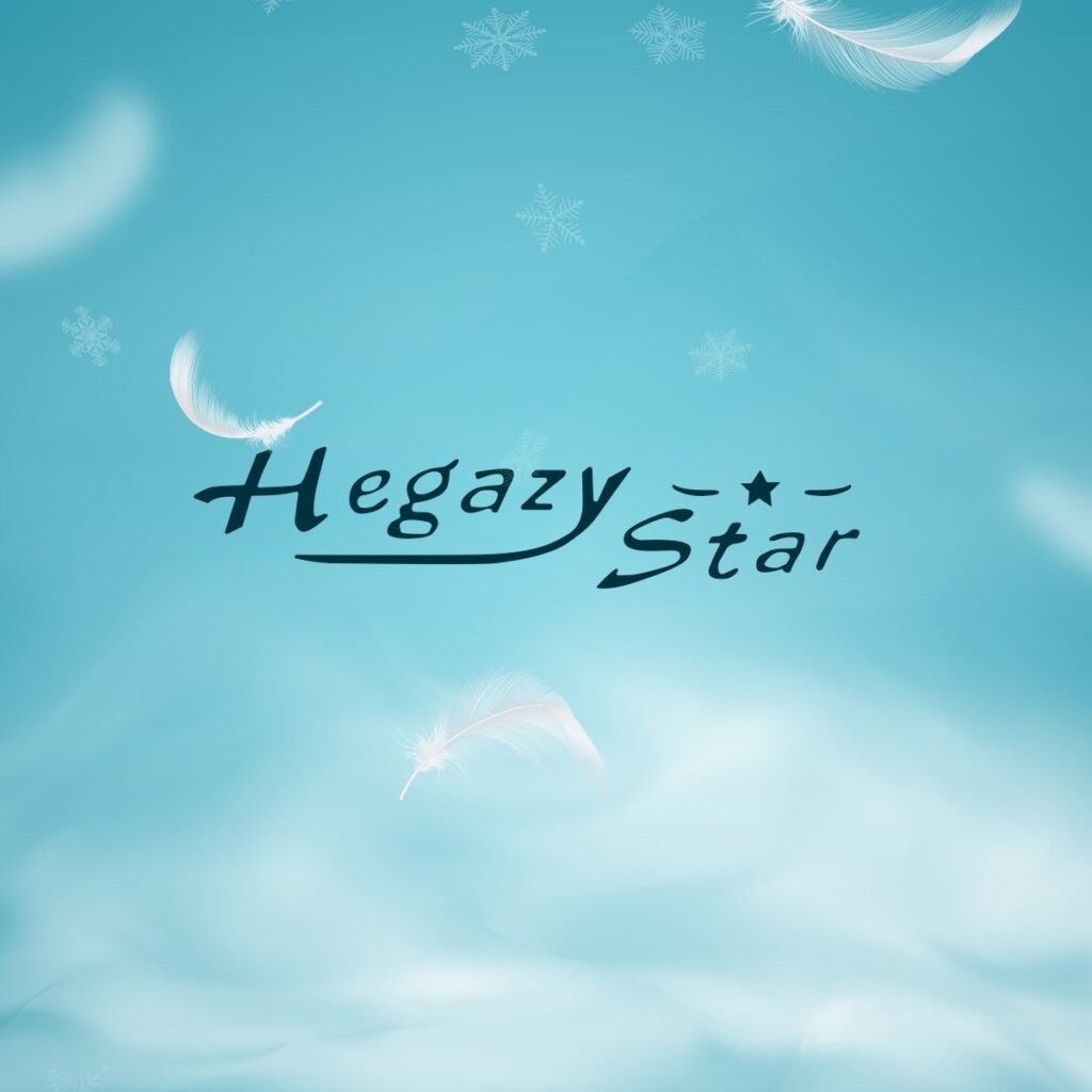 Hegazy Star Factory - Tanta