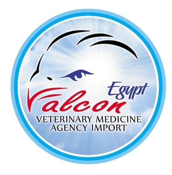 فالكون إيجبت | Falcon Egypt