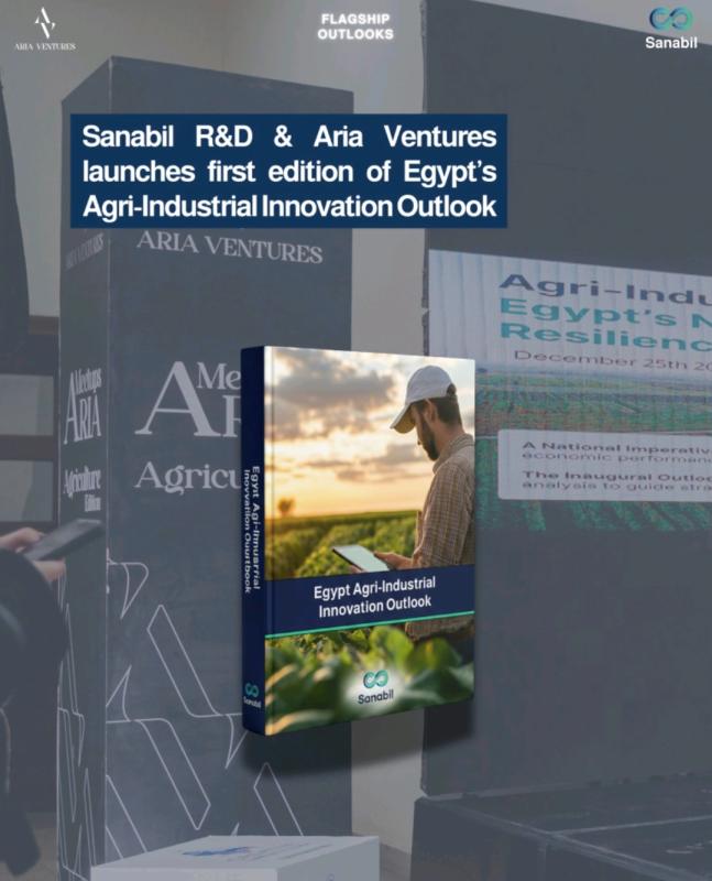 Egypt Agri-Industrial Innovation Outlook — Research Study
